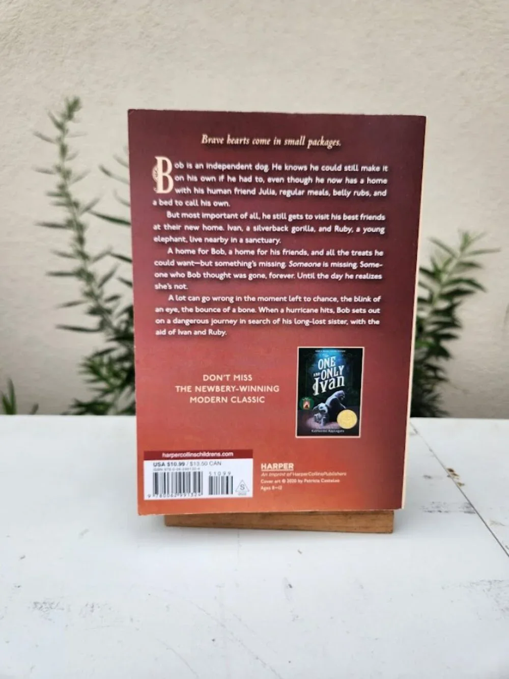 The One and Only Bob Katherine Applegate Paperback Book Young Adult Reading Mate